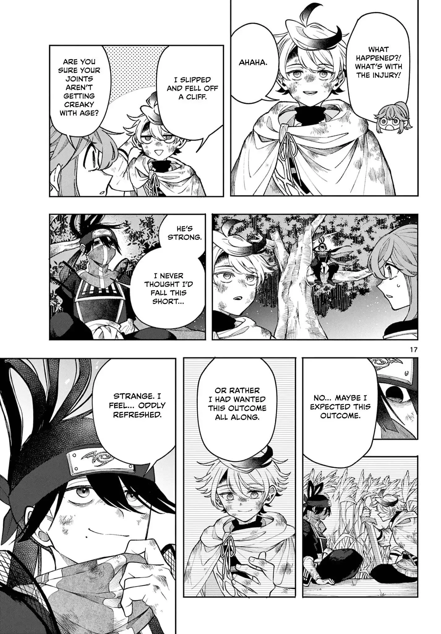 Page 17
