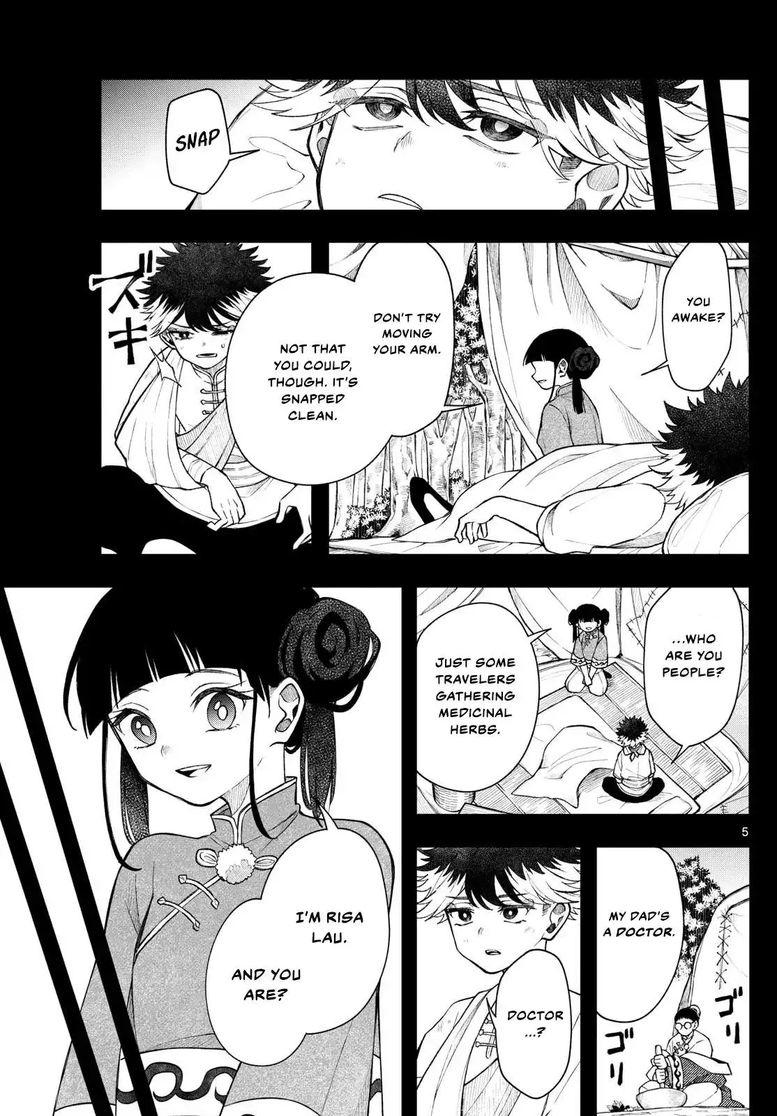 Page 5