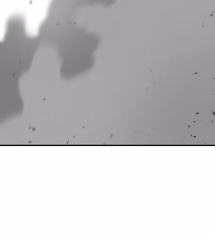 Page 262