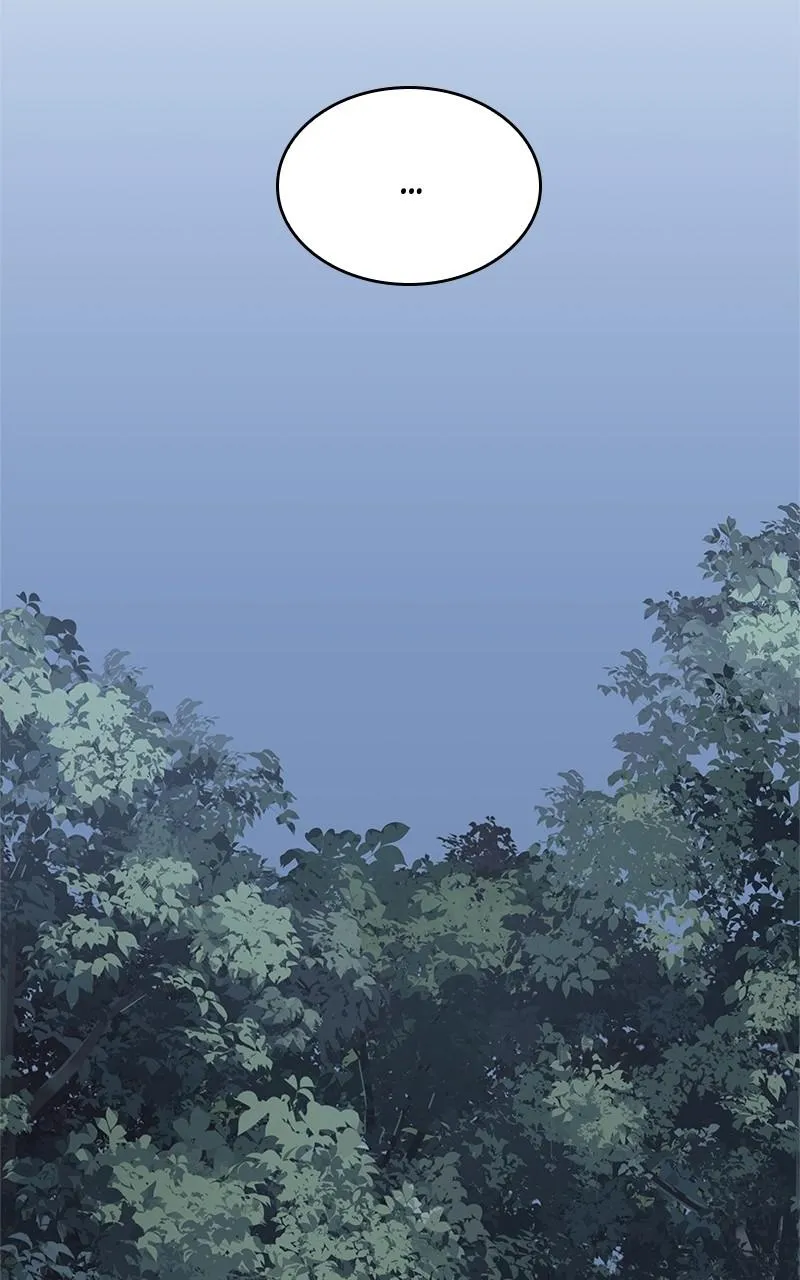 Page 242