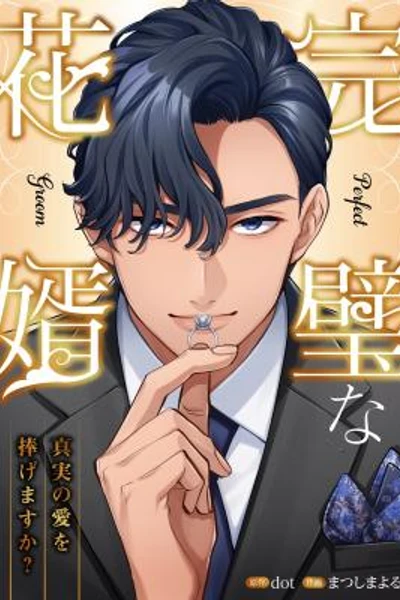 Perfect Groom