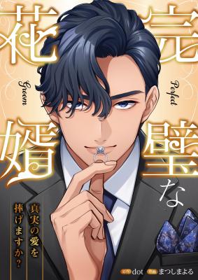 Perfect Groom